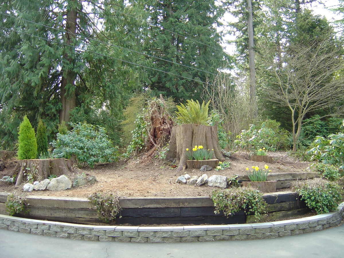 2012 picture (a repeat). Notice the old stump with...
