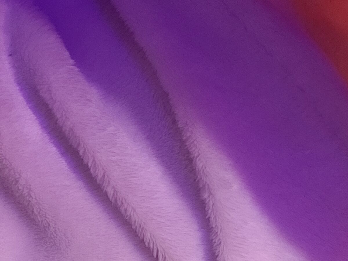 More purple shadows....
