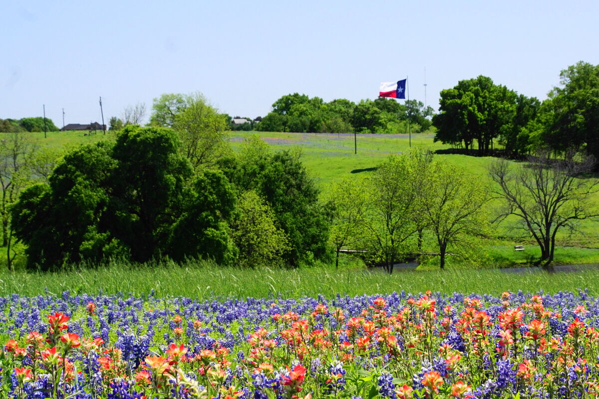 The red, white, and blue of Texas.  Lots of people...