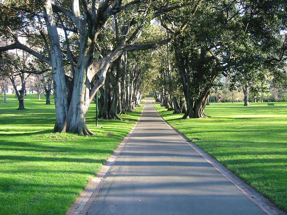 A walking path through Fitzroy Gardens in Melbourn...