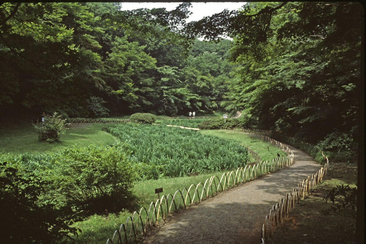 A path through a park in Tokyo, Japan - May 1982 -...