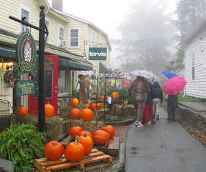 Foggy Shopping in Blowing Rock...
