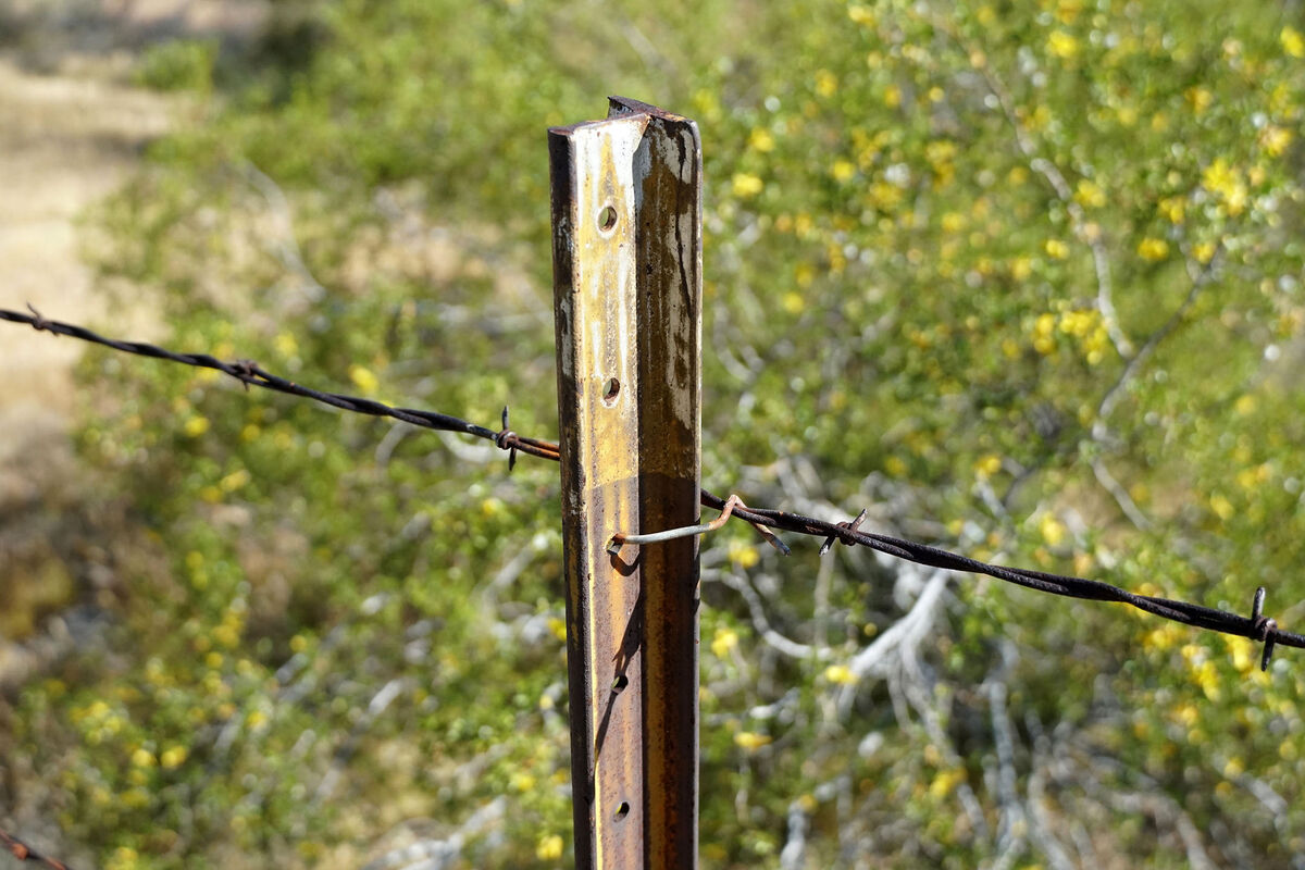 Another steel fence post, with barbed wire attache...