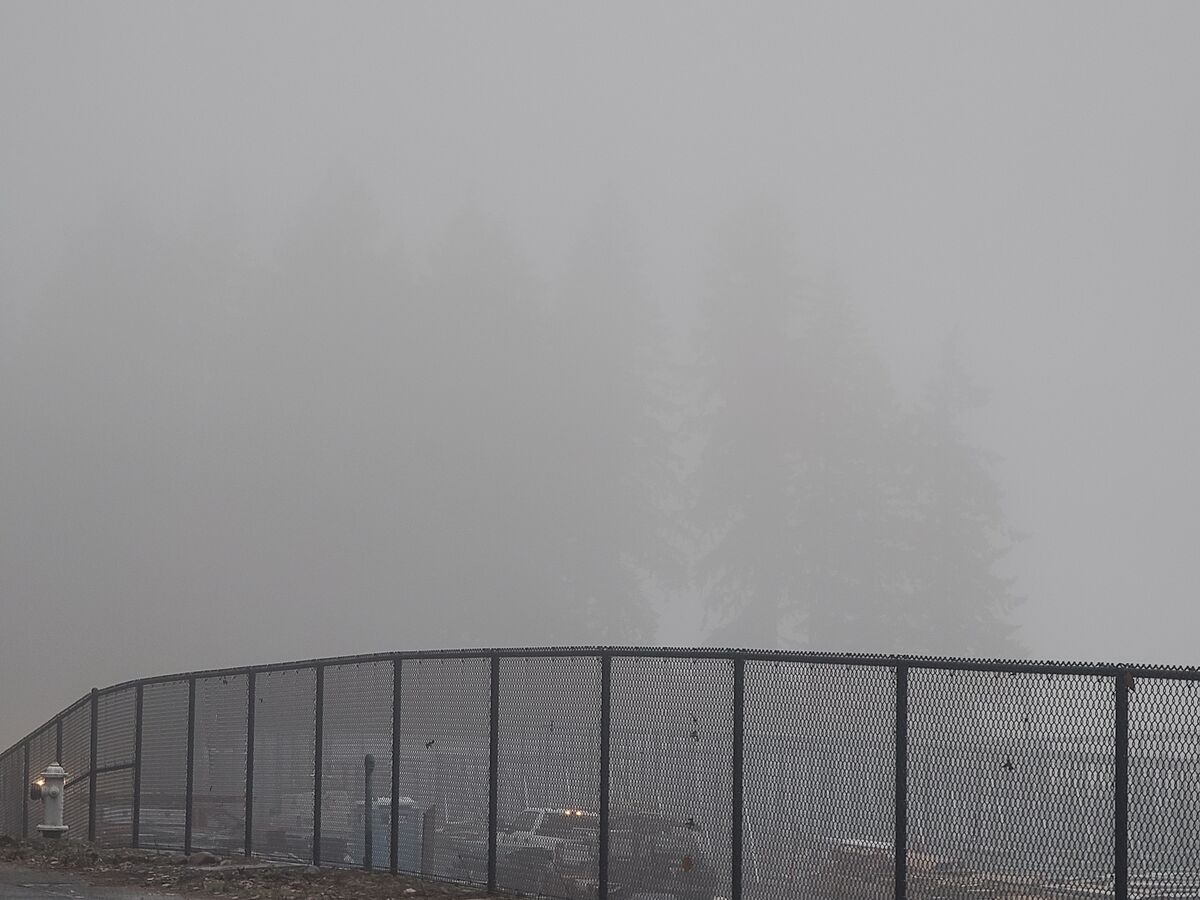 This fence stands out against the foggy background...