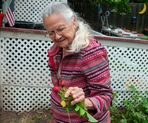 New radishes from little side garden, yea we eat f...