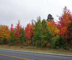 Autumn - as seen near Lewiston, Michigan - October...