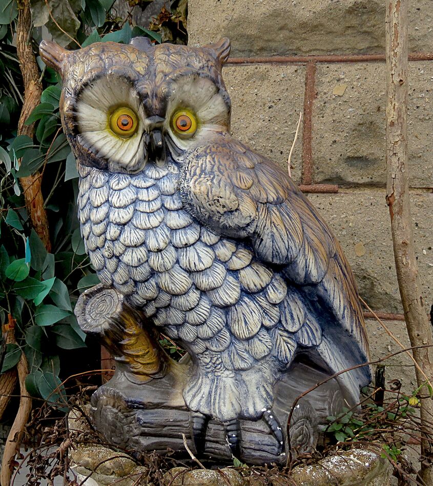 artificial owl...