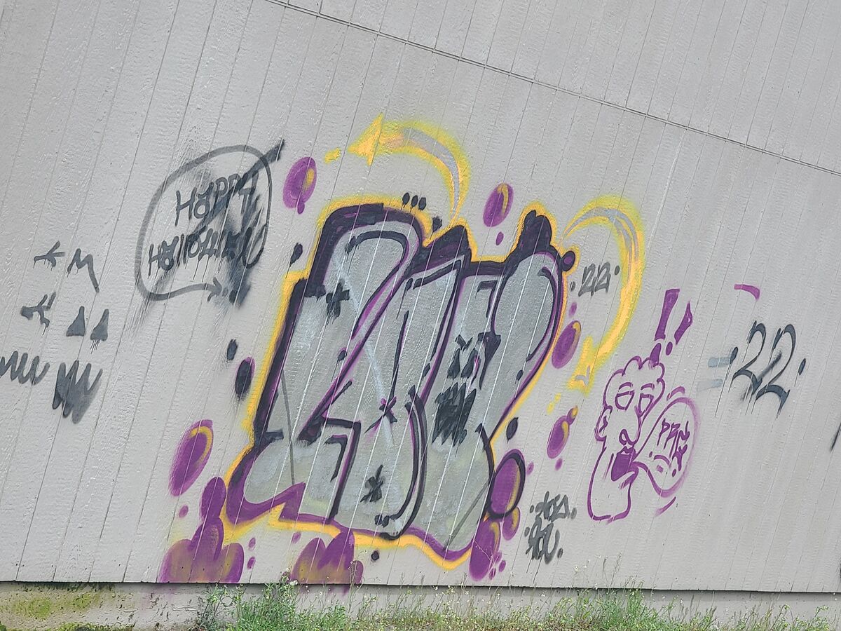 Graffiti in the neighborhood....