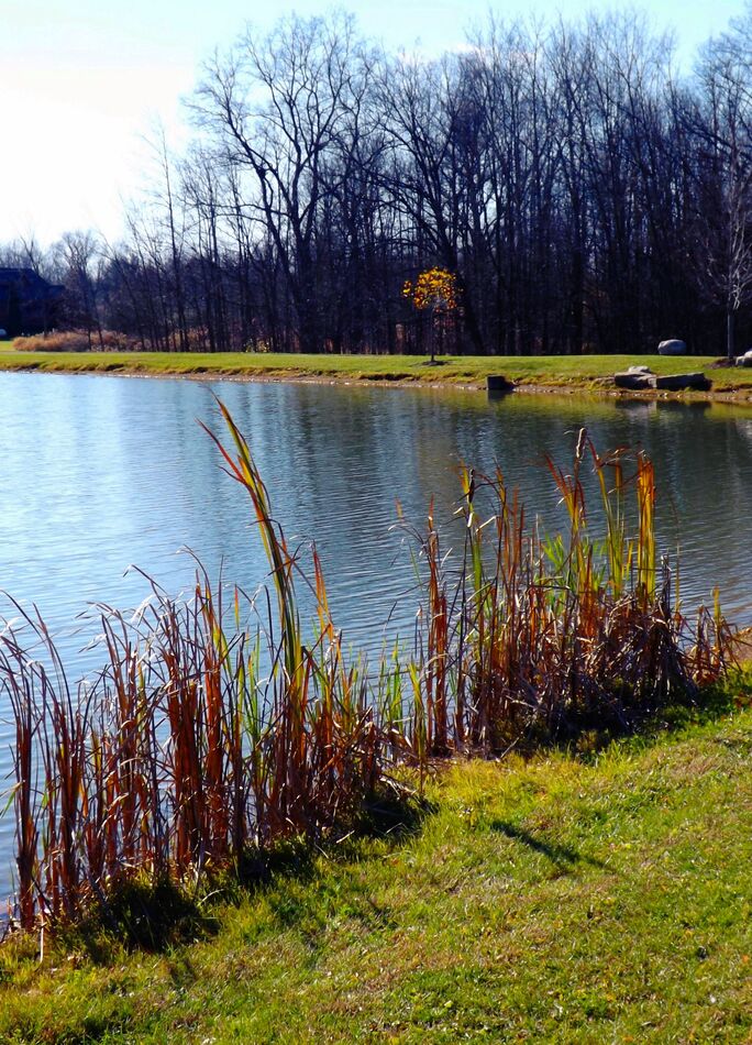 a pond in Ashland county...
