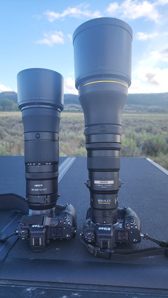 Mirrorless or not? I have been toying with updating to mirrorless, z8