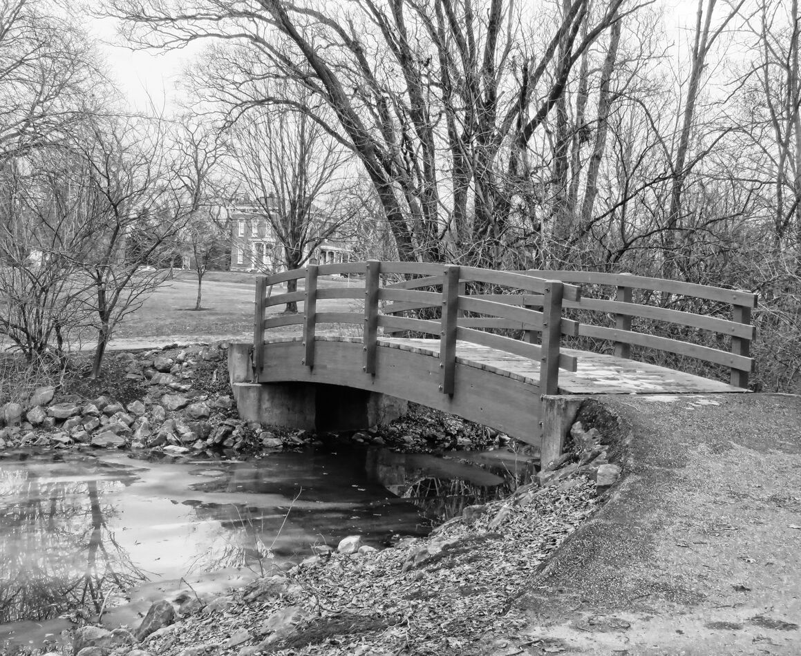 Bridge At: Clague Park.