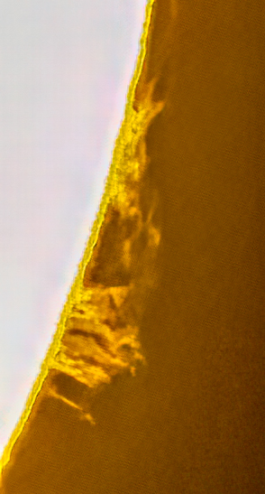 Prominence - Lower Right...