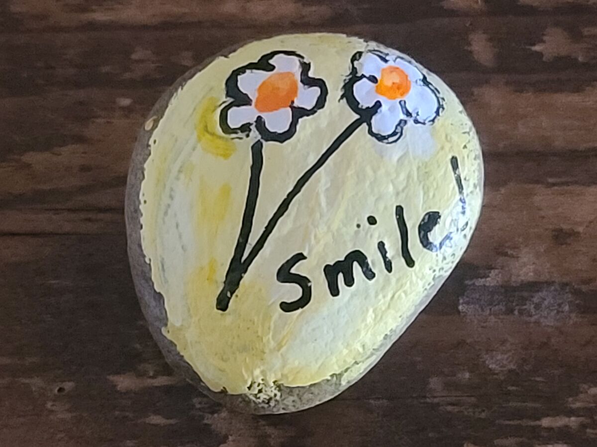 One of my wife's painted rocks....