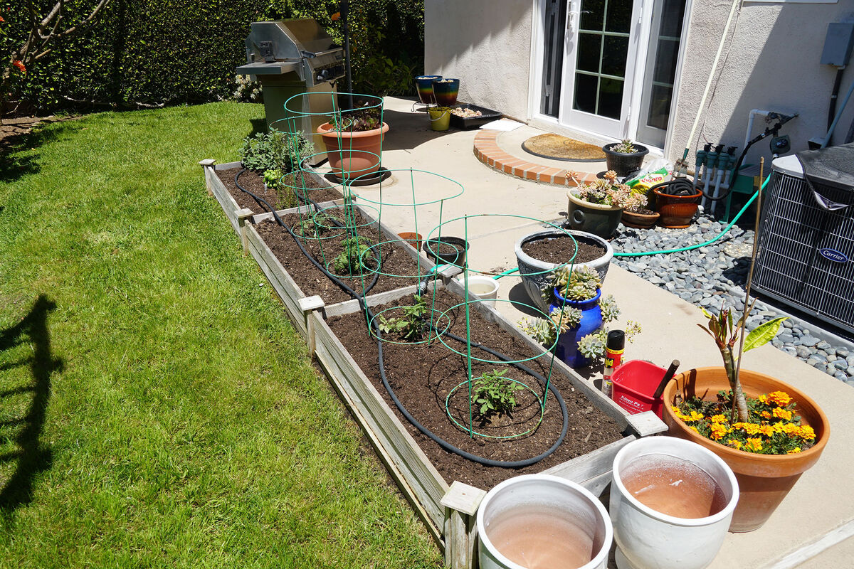 This is what a vegetable garden looks like when yo...