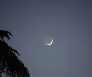 Looking up at the New Moon, in the Arms of the Old...