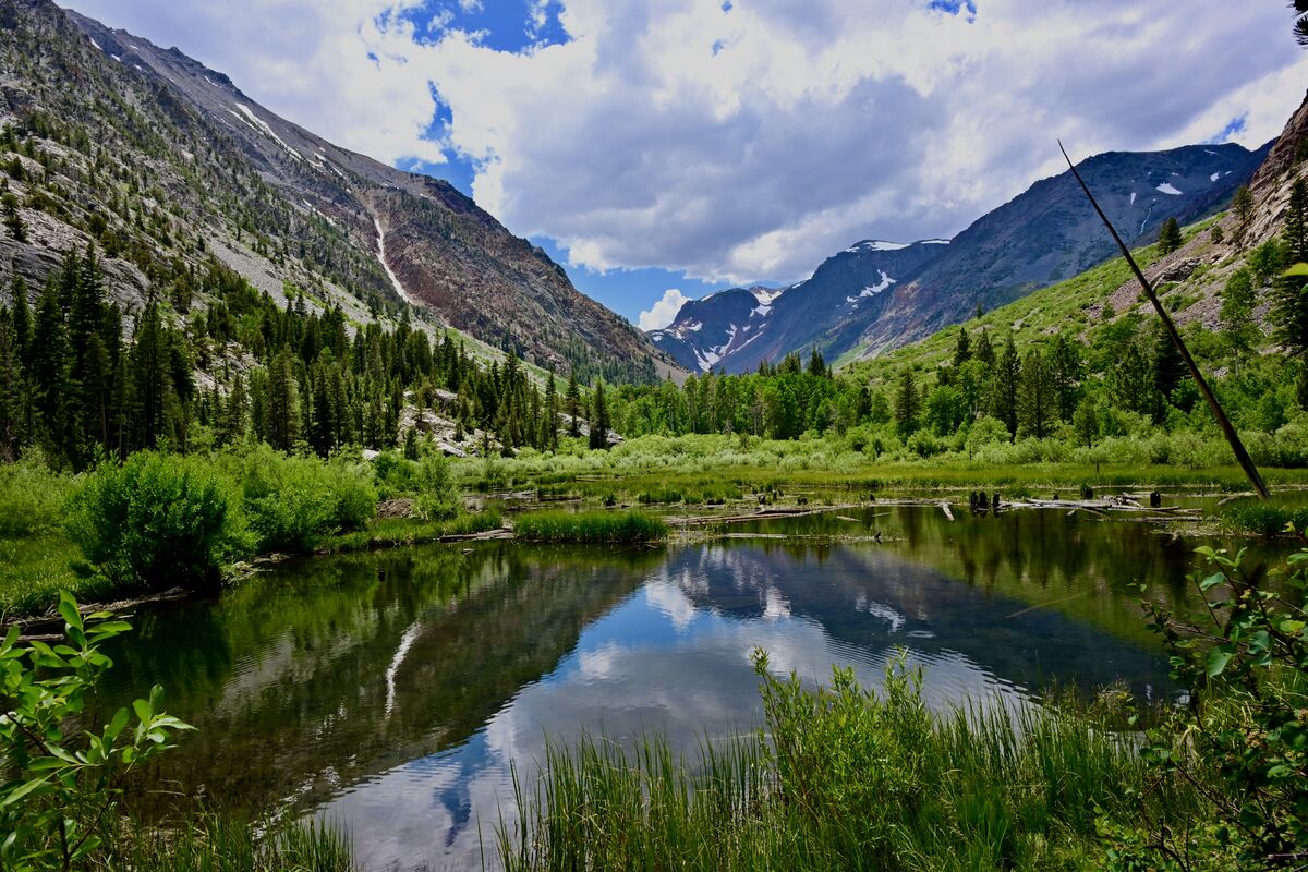 Lundy Lake Revisited-June 2024: Lake Lundy nestled away in the Sierra ...