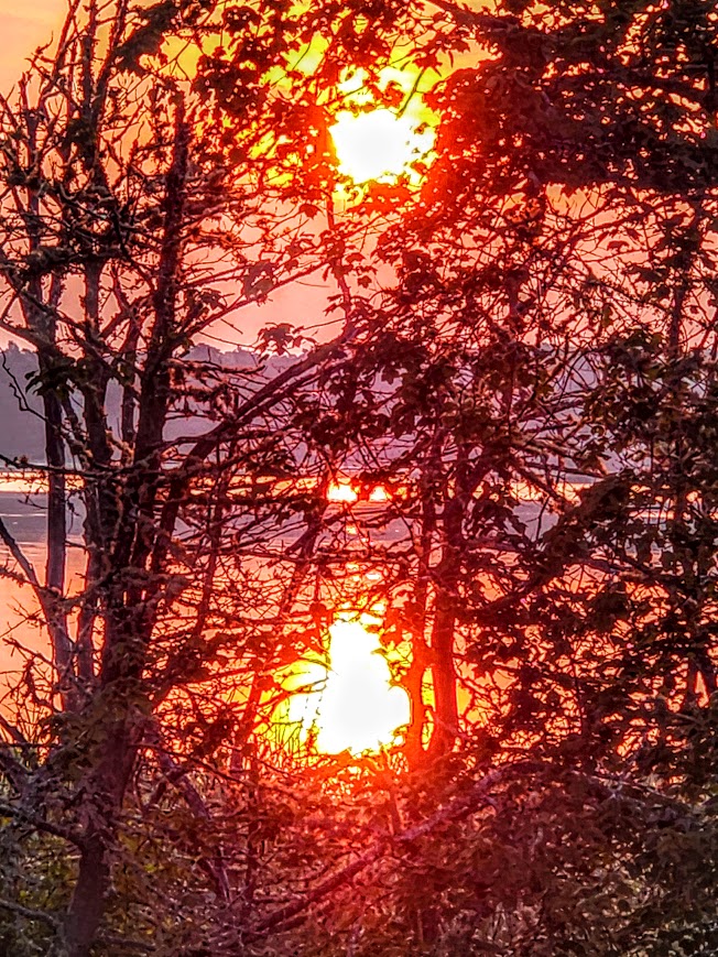 Fire: . Sun Fire in the trees; Sun Fire on the water.