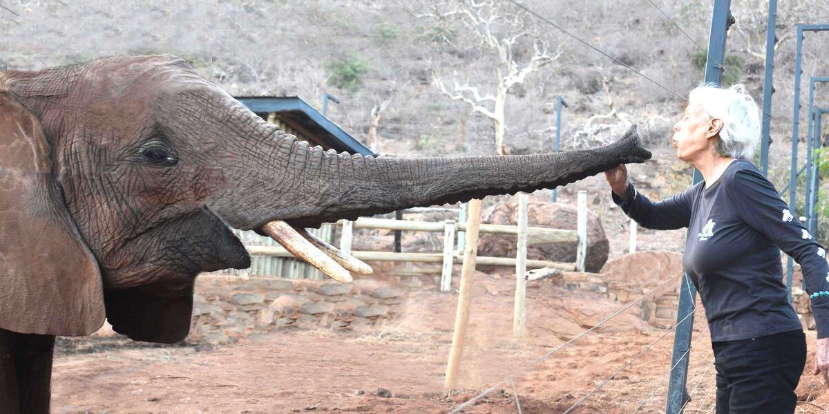 Do They Remember? YES! I don't like being in the picture but this small