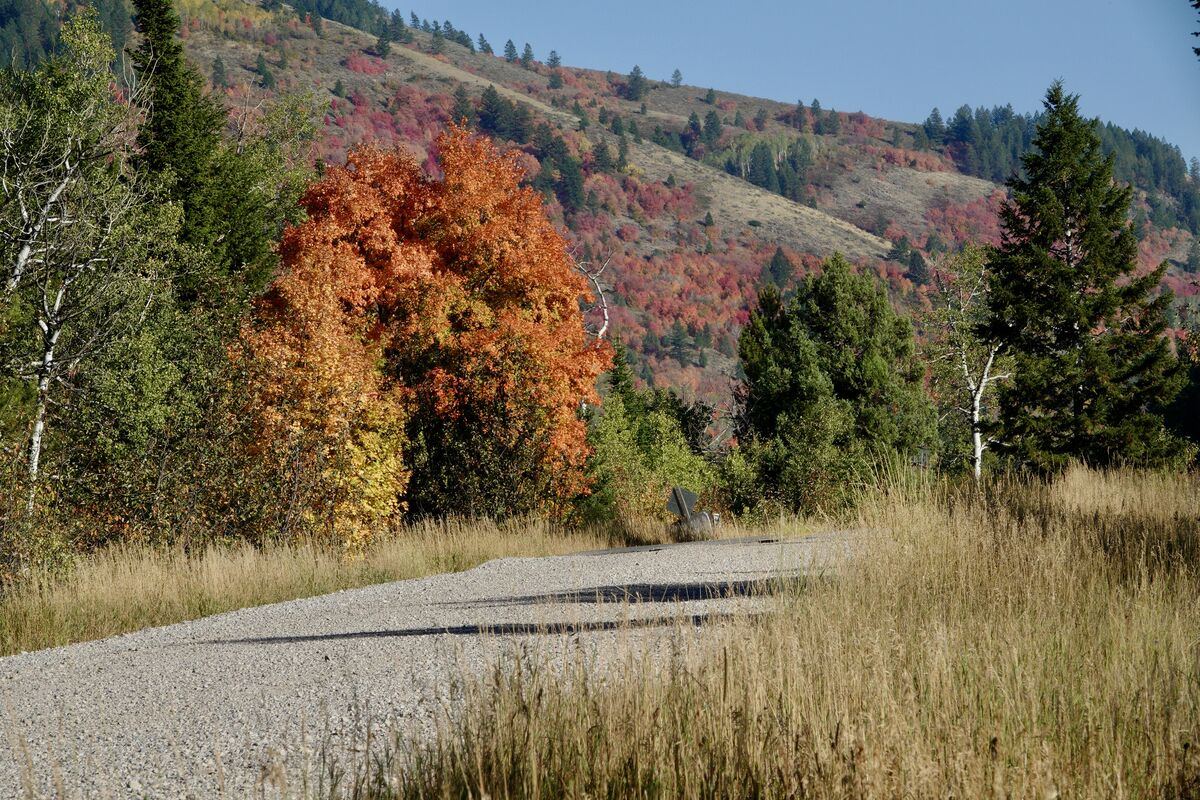 And So It Begins While driving around the mountains of Eastern Idaho I