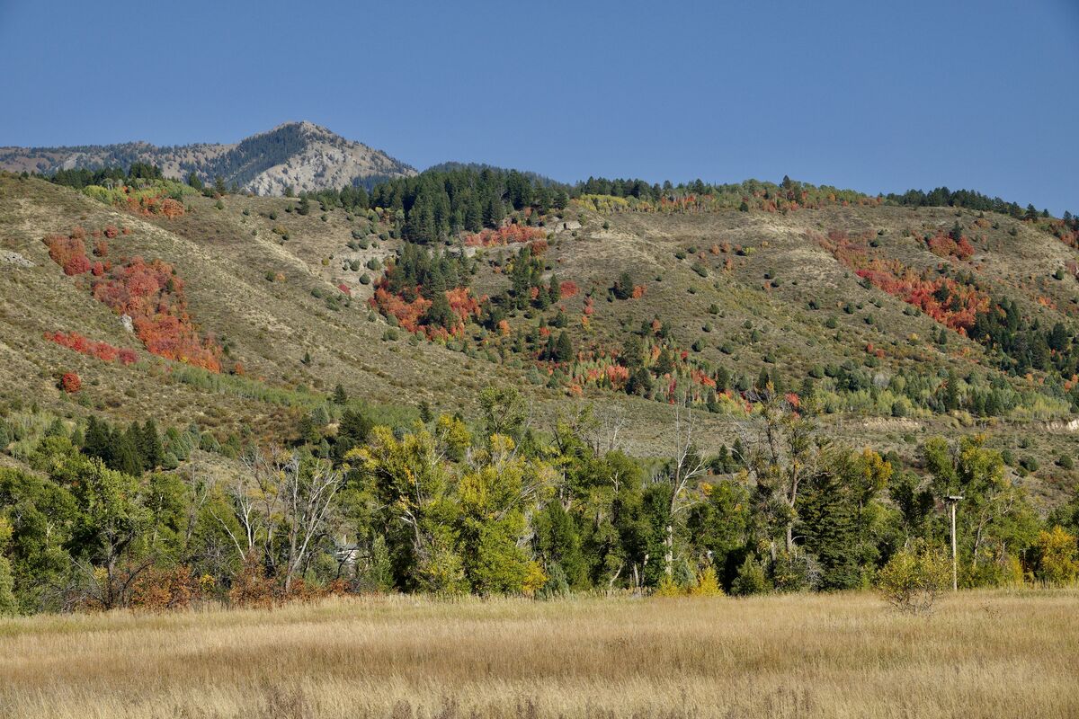 And So It Begins While driving around the mountains of Eastern Idaho I