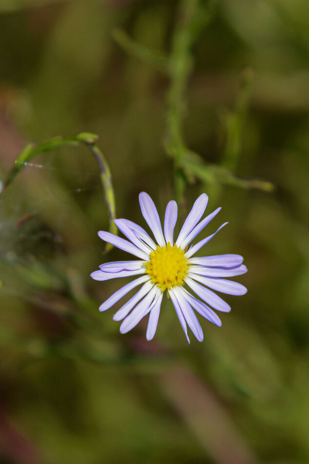 Bailey Lake Area Burleson The heat has finally broken so I went out