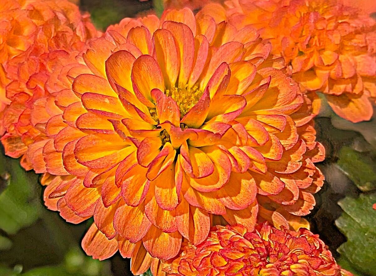 An Vibrant Orange Trio: For Halloween Week, of course 🧡🧡🧡...