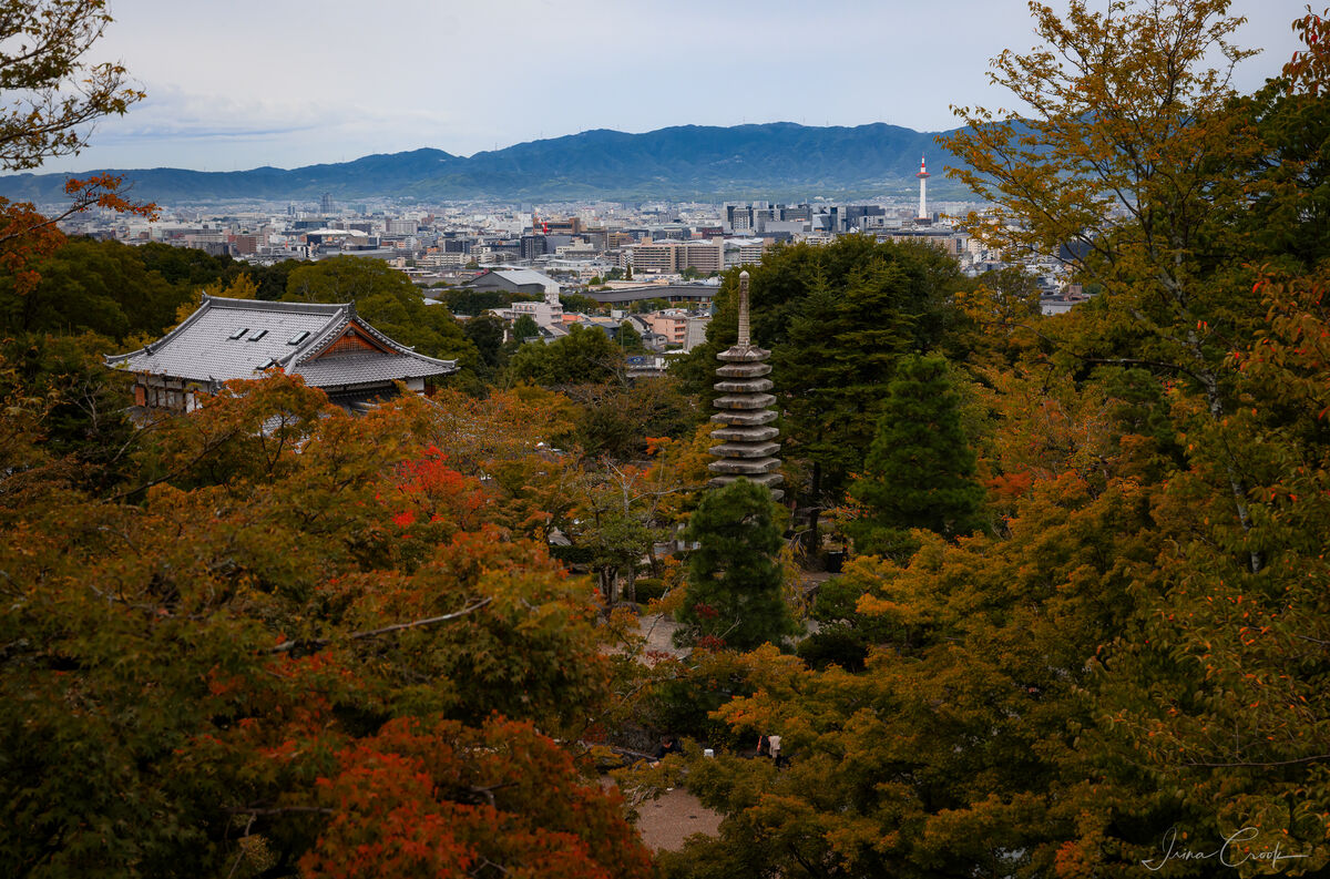 Almost fall in Japan: Almost fall in Japan- leaves just beginning to ...