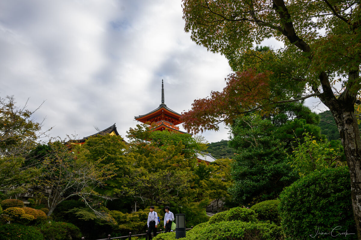 Almost fall in Japan: Almost fall in Japan- leaves just beginning to ...