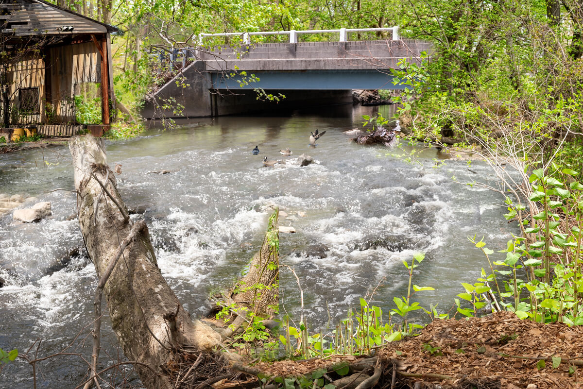 Ugly Rivers Walk Along the River: Eight layer composite of various scenes I came ...