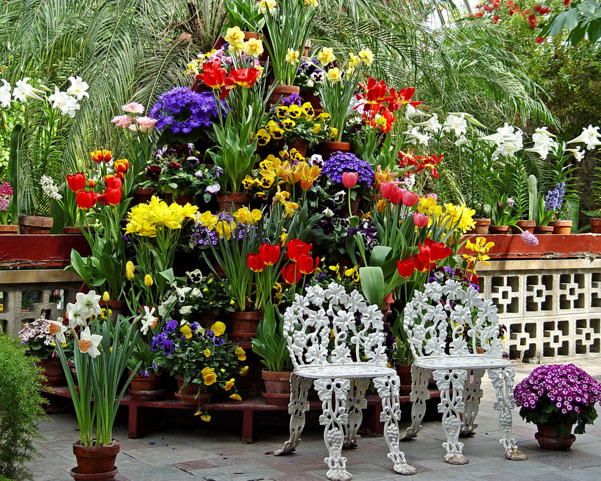 Spring Feaster Show @ a Conservatory Spring/Easter Show: Just so we don't forget what ...