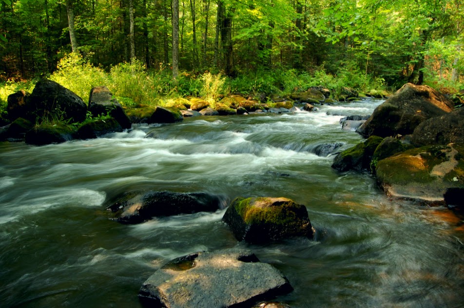 Trout Streams: Trout streams I alluded to in my