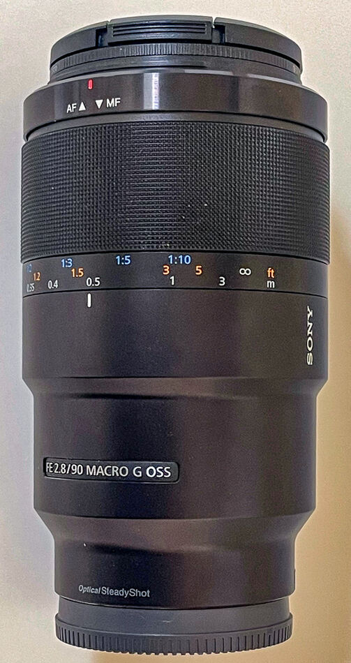 Sony 90 Mm F2 8 Macro Lens This Is The Best Macro Lens I Have Owned sony-90-mm-f2-8-macro-lens-this-is-the-best-macro-lens-i-have-owned