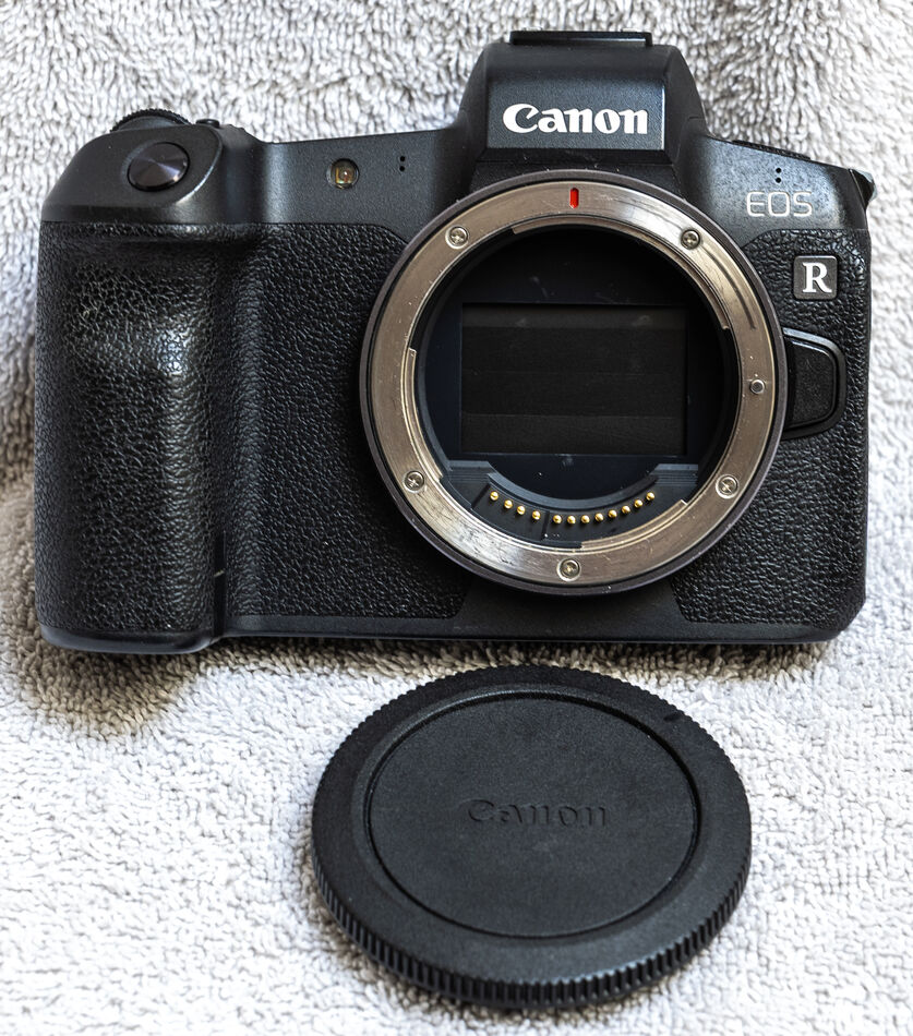 Canon EOS R Mirrorless SLR: My Canon EOS R camera is in excellent ...