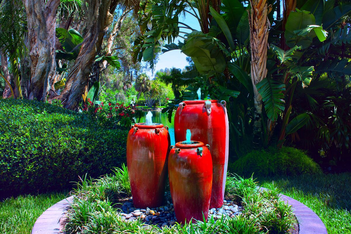 Rock City Garden: Rock City Plant Nursery, Wabasso, FL...