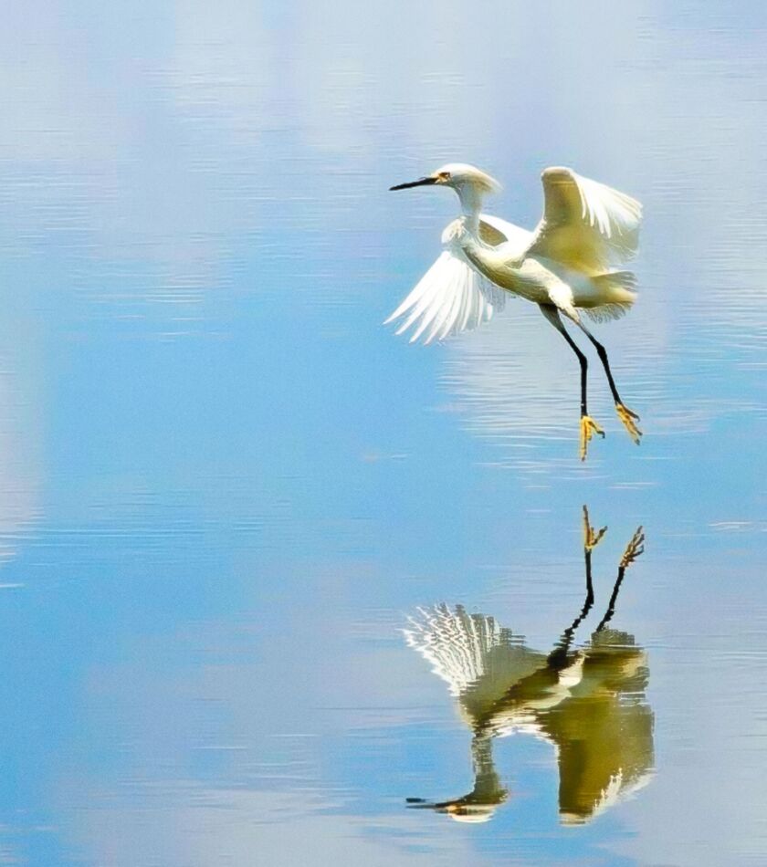 I am in a quandary: About this shot. The first one is the way it came ...
