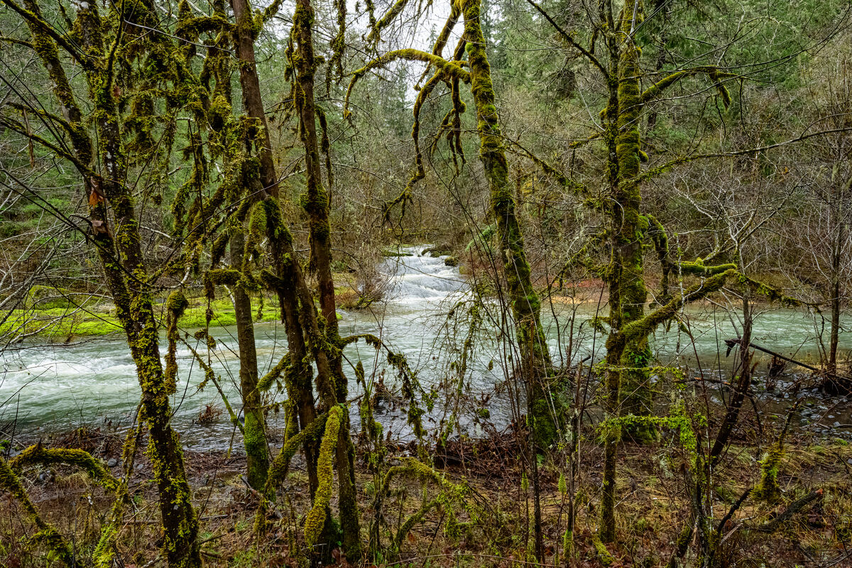 Small streams in Oregon: Waterfall 