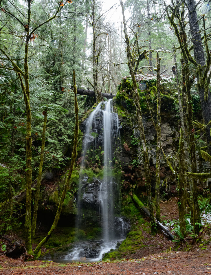 Small streams in Oregon: Waterfall 