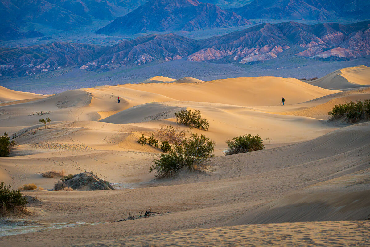 Sand Flu Death Valley #2: The Mesquite Flat Sand Dunes at sunrise to catch the ...