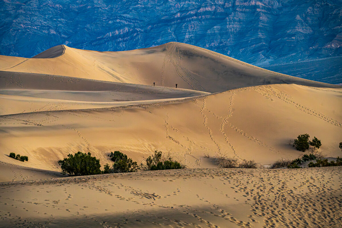 Sand Flu Death Valley #2: The Mesquite Flat Sand Dunes at sunrise to catch the ...