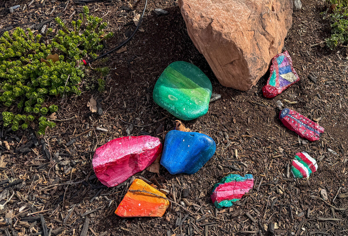 New Rocks With Spring Spring dog walk - I: The neighborhood has shaken off most traces of ...