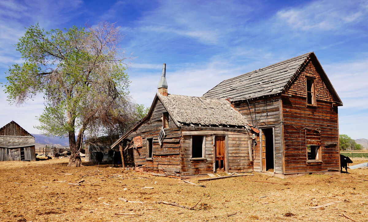 Beautiful Abandoned Ranch House: With a new tenant peeking around the ...