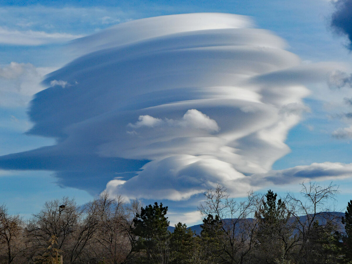 Curious Clouds: Have you ever looked up in the sky and seen a cloud ...