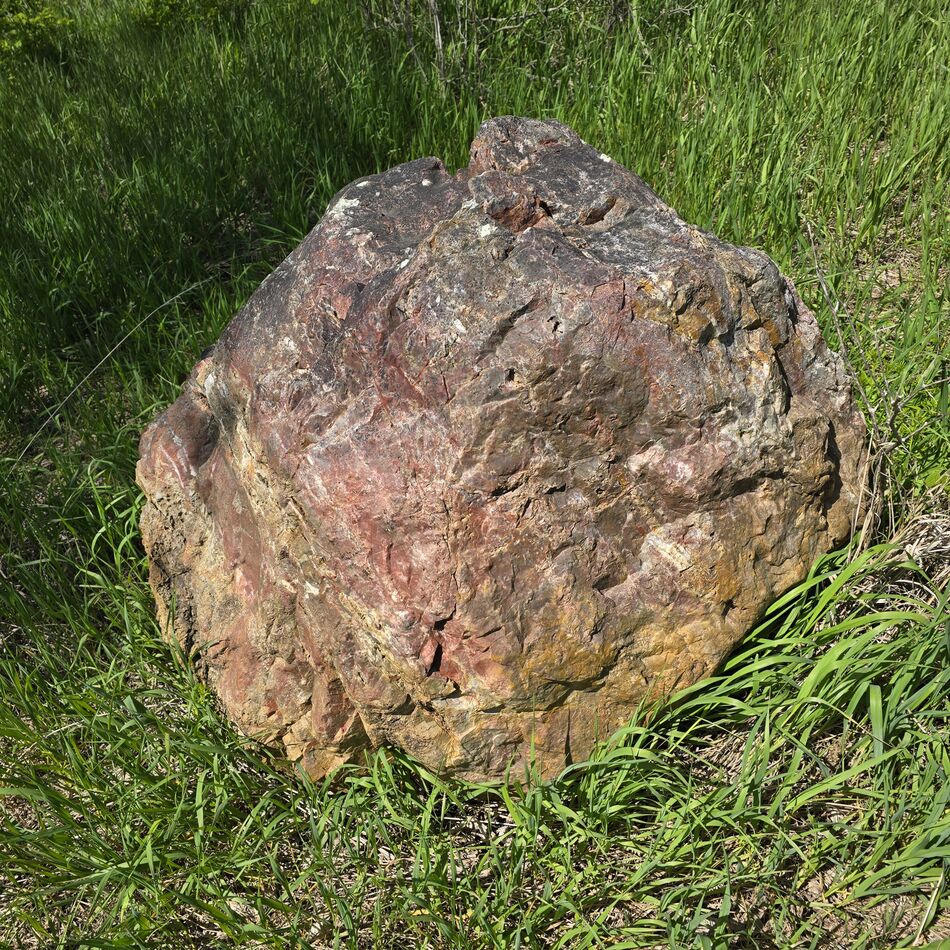 This Side Rocks Can anyone identiy what type of rock this is? It is black on one side.